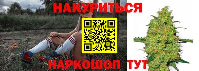 apvp Партизанск