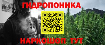 apvp Партизанск