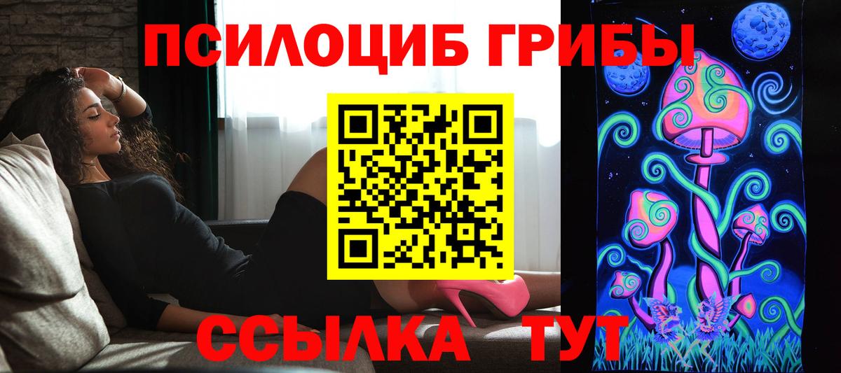 Славянск-на-Кубани  Псилоцибиновые грибы ЛСД  Вход с VPN 
