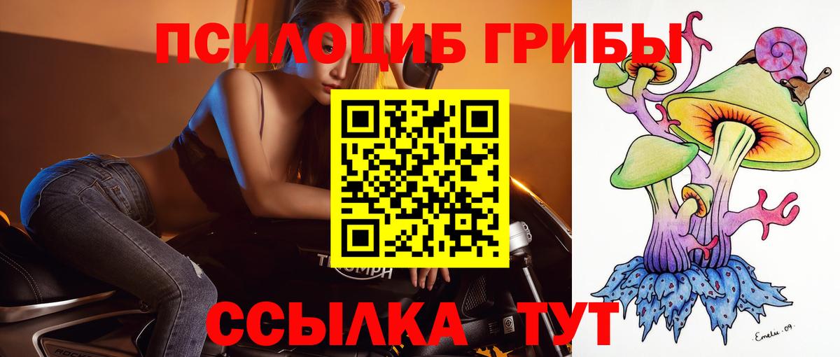Псилоцибиновые грибы мухоморы Славянск-на-Кубани